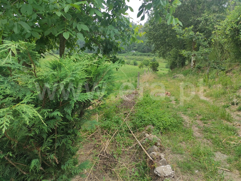 Terreno Rústico  com Agrícola Amares, Caldelas, Sequeiros e Paranhos - 1412630 - 8