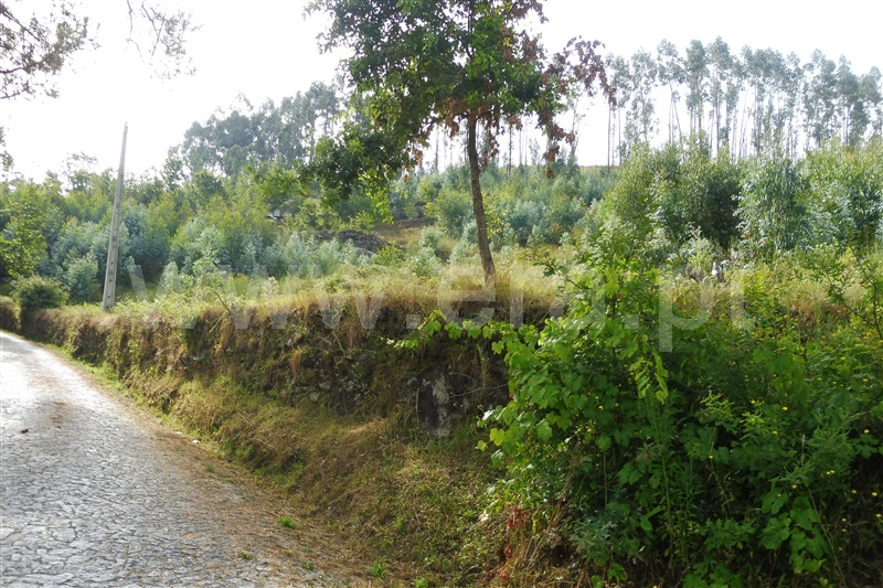Terreno Rústico / Amares, Caldelas, Sequeiros e Paranhos