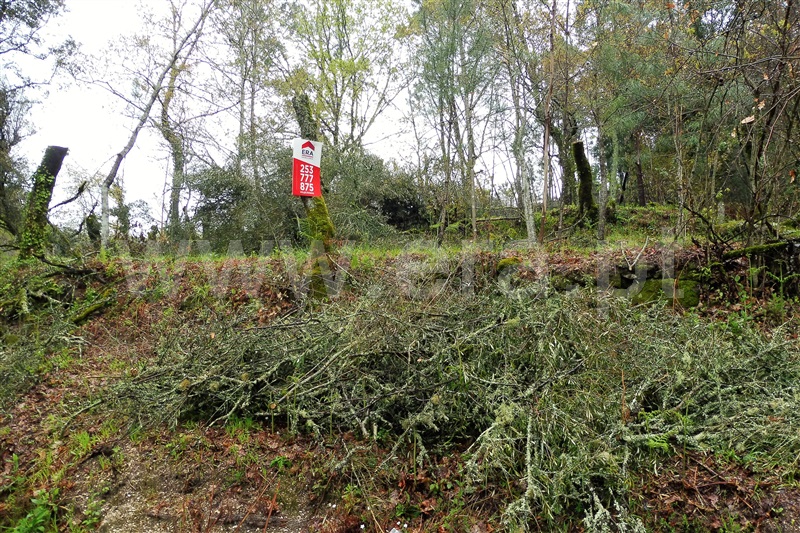 Terreno para Construção  Amares, Dornelas - 903282 - 2