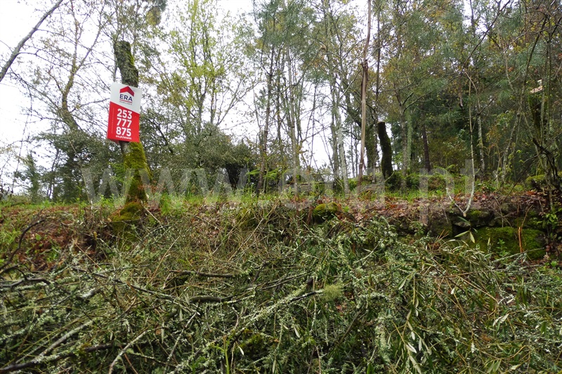 Terreno para Construção  Amares, Dornelas - 903282 - 3