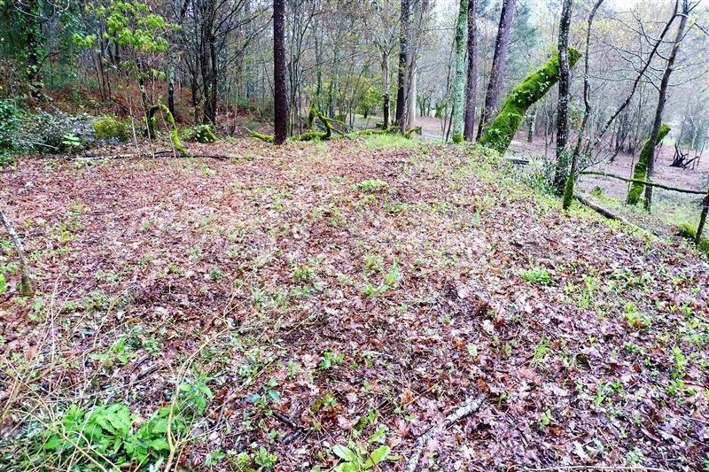 Terreno para Construção  Amares, Dornelas - 903282 - 7