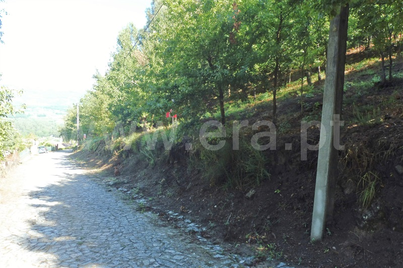 Terreno Rústico  Amares, Torre e Portela - 1113750 - 9