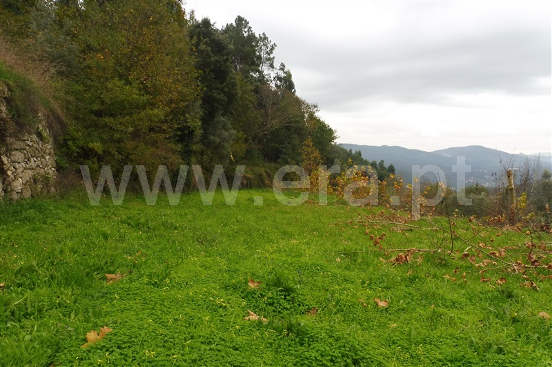 Terreno Rústico  Amares, Vilela, Seramil e Paredes Secas - 1136527 - 4