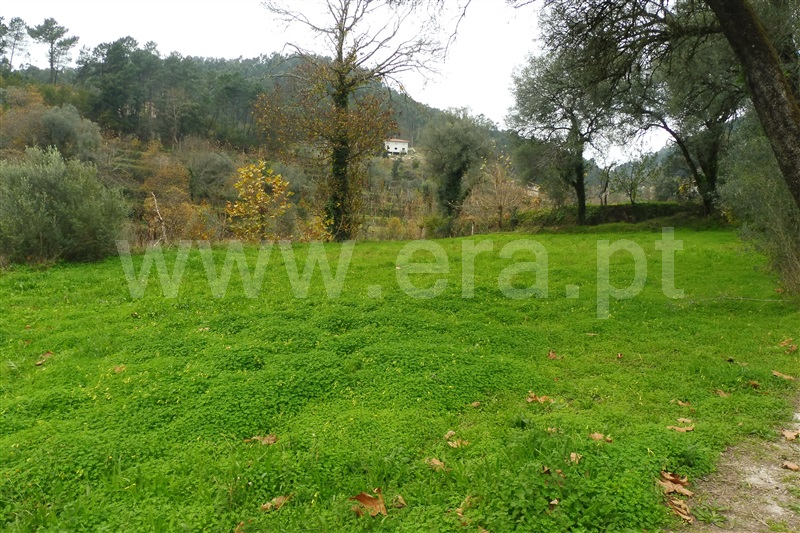 Terreno Rústico  Amares, Vilela, Seramil e Paredes Secas - 1136527 - 5