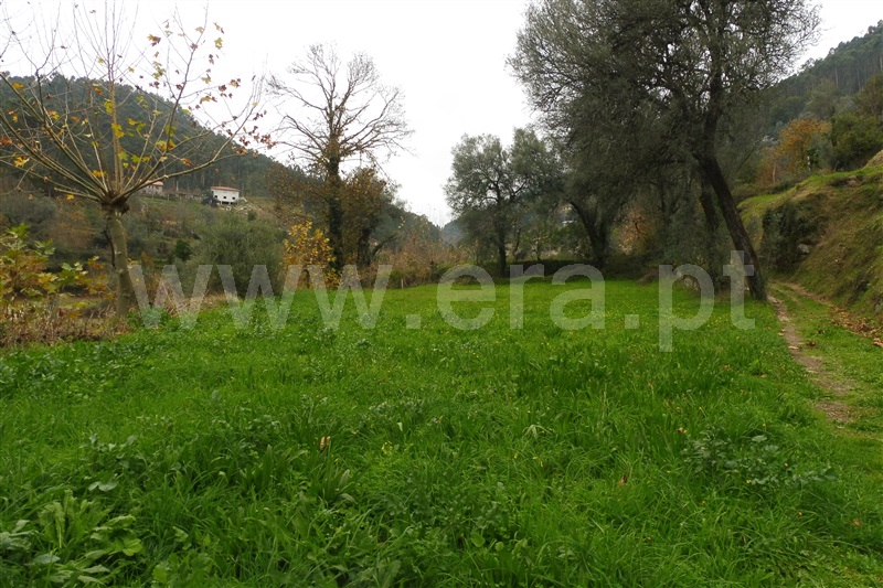 Terreno Rústico  Amares, Vilela, Seramil e Paredes Secas - 1136527 - 7