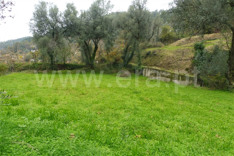 Terreno Rústico  Amares, Vilela, Seramil e Paredes Secas - 1136527 - 9