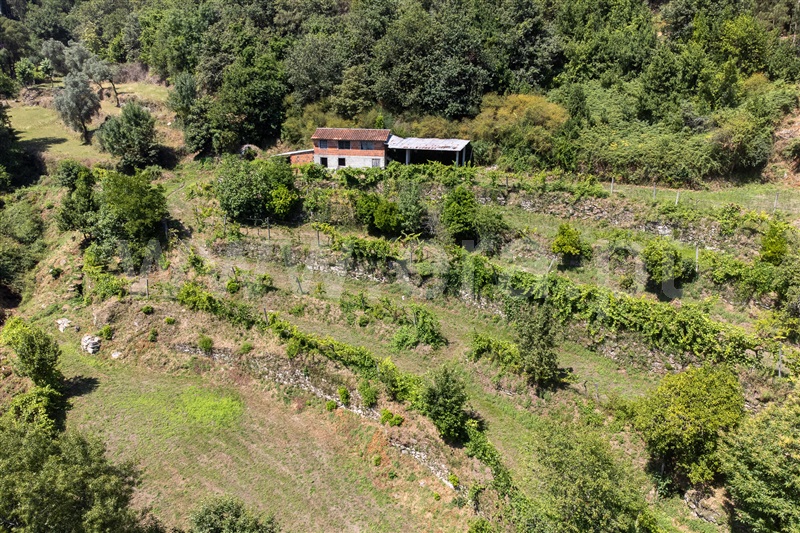 Terreno Misto  Amares, Vilela, Seramil e Paredes Secas - 1496498 - 20