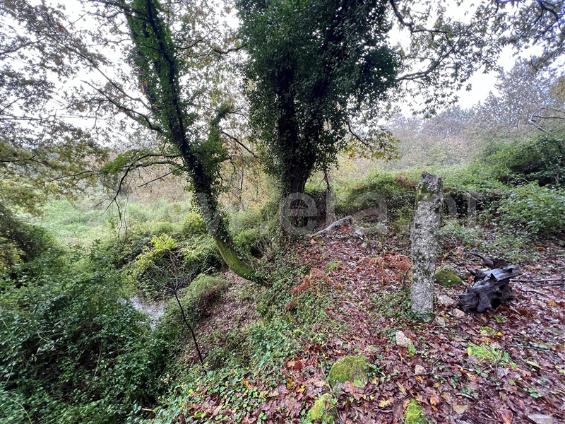 Terreno Rústico  Arcos de Valdevez, Monte Redondo - 988220 - 5