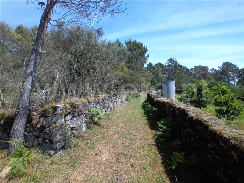 Terreno Rústico / Arcos de Valdevez, Soajo