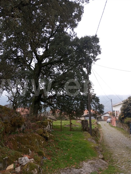 Terreno Rústico  Arcos de Valdevez, Soajo - 1449213 - 1