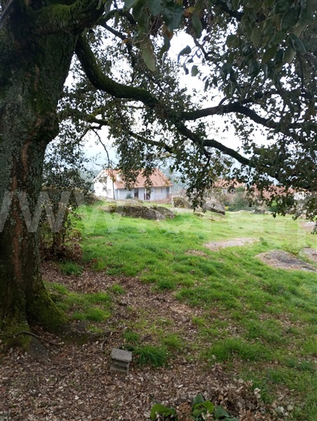 Terreno Rústico  Arcos de Valdevez, Soajo - 1449213 - 6