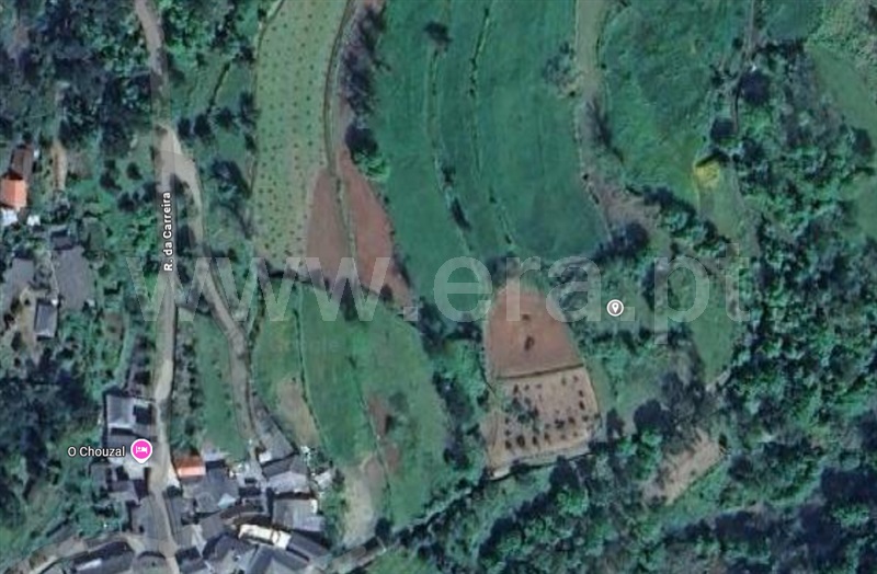 Terreno Rústico / Arouca, Covelo de Paivó e Janarde