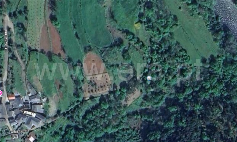 Terreno Rústico / Arouca, Covelo de Paivó e Janarde
