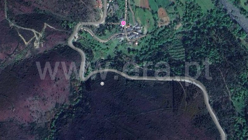 Terreno Rústico / Arouca, Covelo de Paivó e Janarde