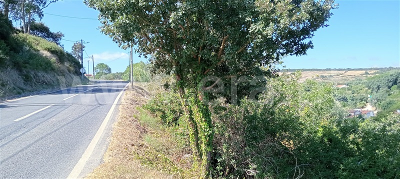 Terreno Rústico  com Rústico Arruda dos Vinhos, Arranhó - 1503835 - 5