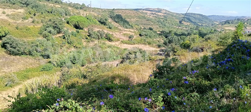 Terreno Rústico  com Rústico Arruda dos Vinhos, Arranhó - 1503835 - 7
