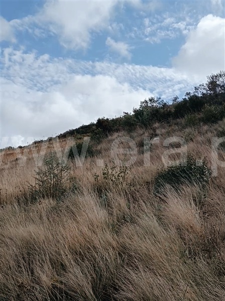 Terreno Rústico / Arruda dos Vinhos, Arruda dos Vinhos
