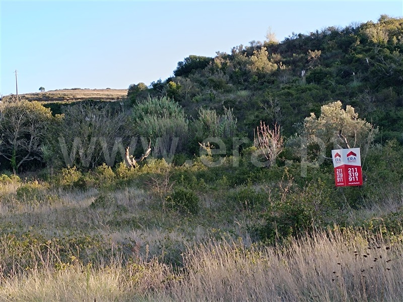 Terreno Rústico  Arruda dos Vinhos, Arruda dos Vinhos - 1437829 - 4