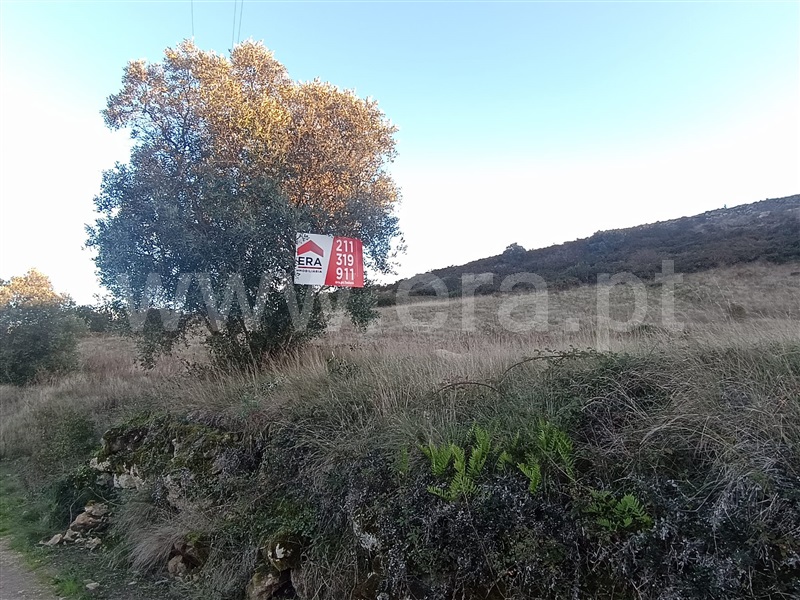Terreno Rústico  Arruda dos Vinhos, Arruda dos Vinhos - 1437829 - 5