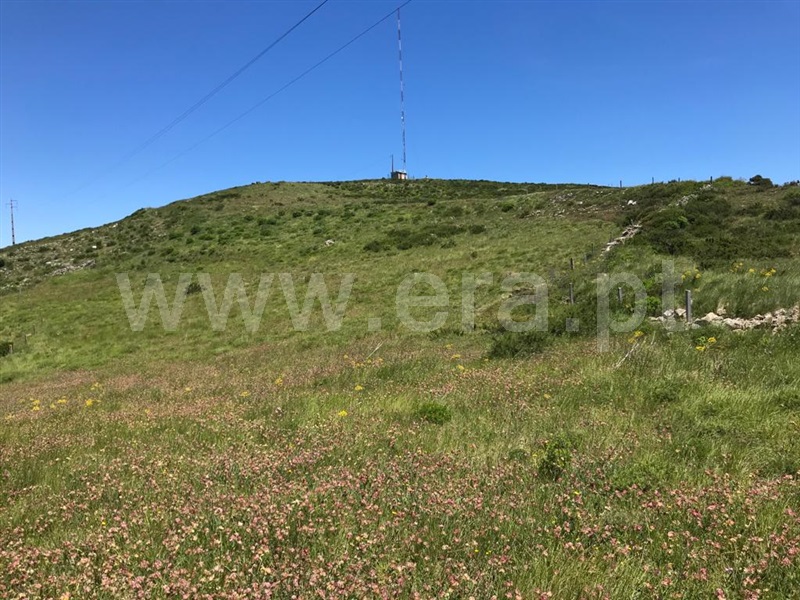 Terreno Rústico  Arruda dos Vinhos, Carvalha - 800938 - 3