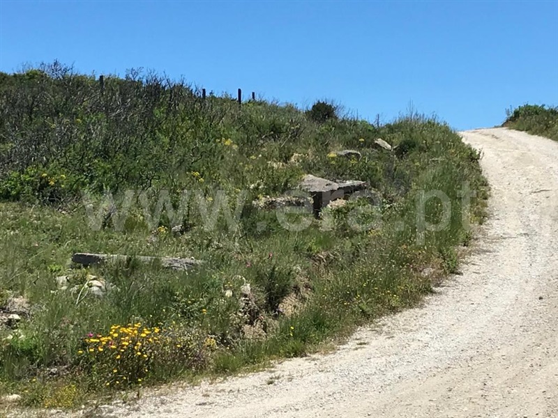 Terreno Rústico  Arruda dos Vinhos, Carvalha - 800938 - 6