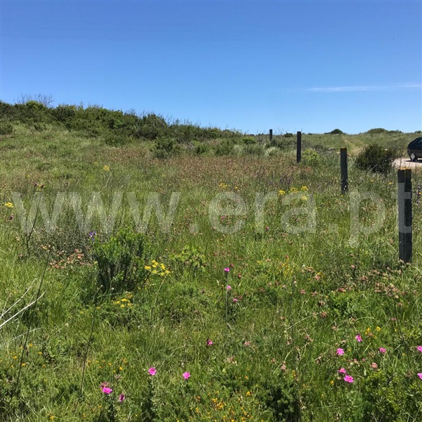 Terreno Rústico  Arruda dos Vinhos, Carvalha - 800938 - 4
