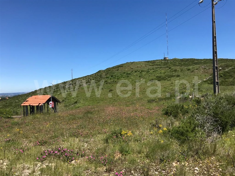 Terreno Rústico / Arruda dos Vinhos, Carvalha