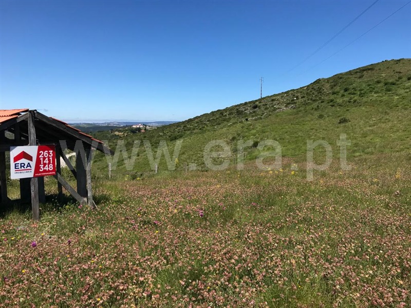 Terreno Rústico  Arruda dos Vinhos, Carvalha - 800938 - 1