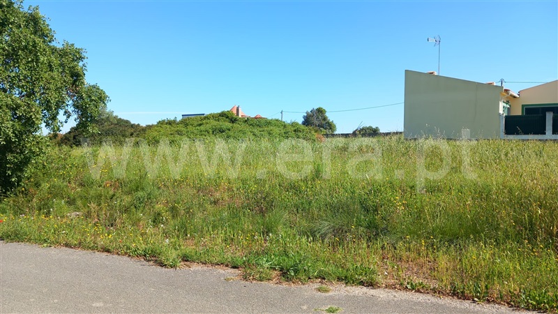 Terreno Rústico  Azambuja, Manique do Intendente, Vila Nova de São Pedro e Maçussa - 1398103 - 13
