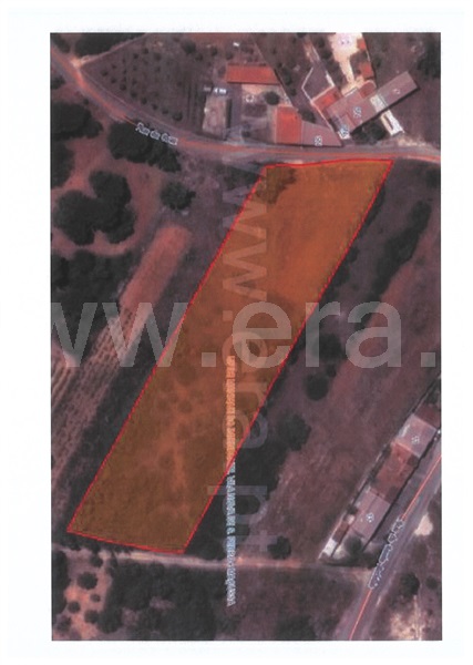 Terreno Rústico  Azambuja, Manique do Intendente, Vila Nova de São Pedro e Maçussa - 1398178 - 1