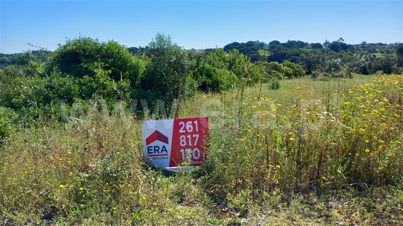 Terreno Rústico  Azambuja, Manique do Intendente, Vila Nova de São Pedro e Maçussa - 1398178 - 7