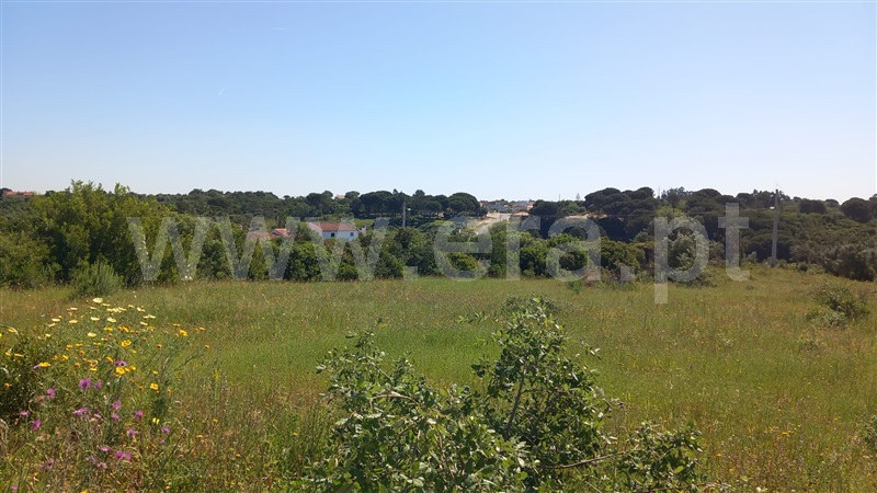 Terreno Rústico  Azambuja, Manique do Intendente, Vila Nova de São Pedro e Maçussa - 1398178 - 10