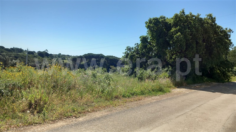 Terreno Rústico  Azambuja, Manique do Intendente, Vila Nova de São Pedro e Maçussa - 1398178 - 11
