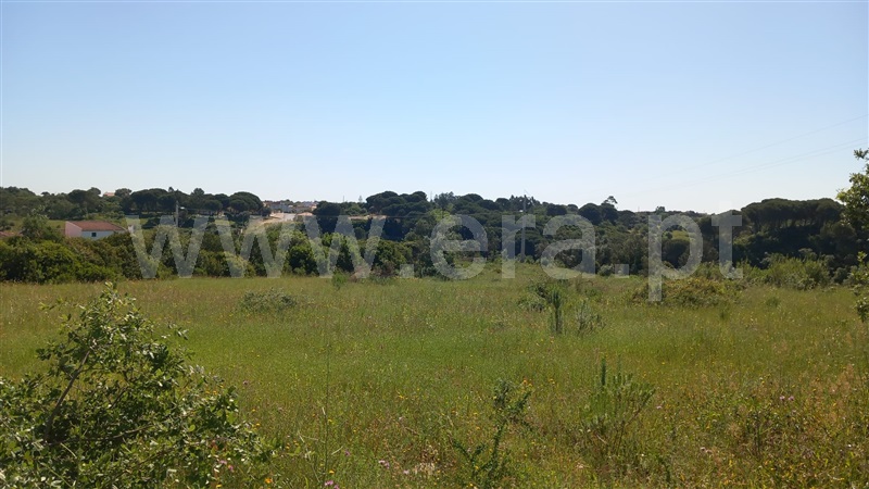 Terreno Rústico  Azambuja, Manique do Intendente, Vila Nova de São Pedro e Maçussa - 1398178 - 14