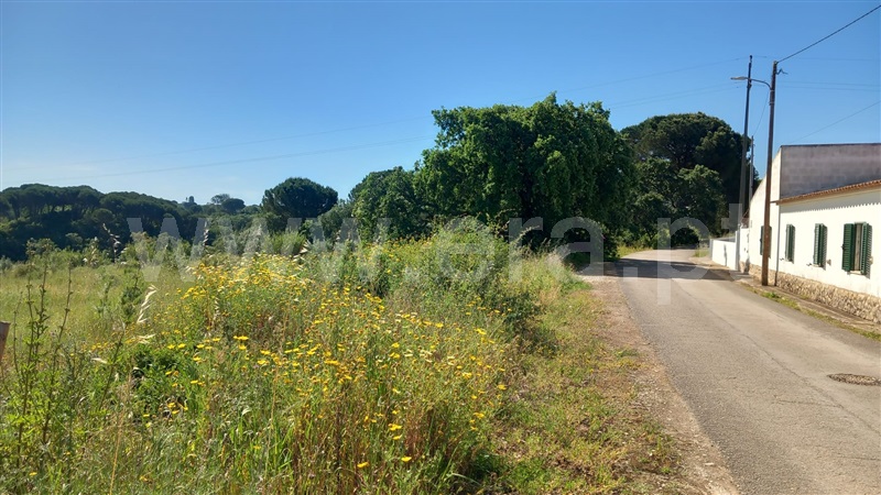 Terreno Rústico  Azambuja, Manique do Intendente, Vila Nova de São Pedro e Maçussa - 1398178 - 15