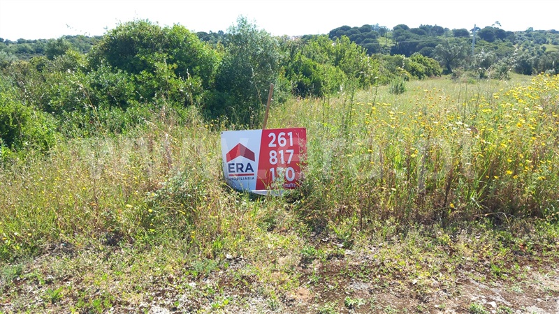 Terreno Rústico  Azambuja, Manique do Intendente, Vila Nova de São Pedro e Maçussa - 1398178 - 17