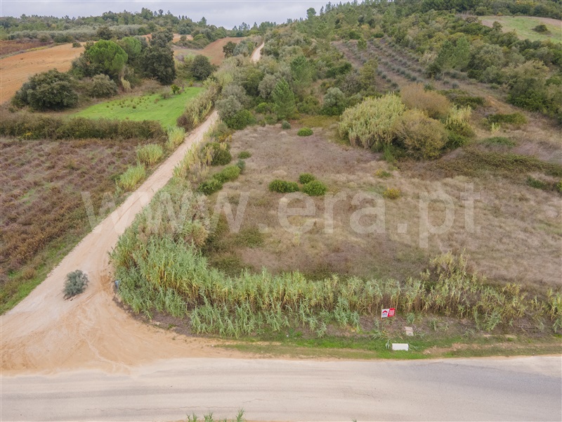 Terreno Rústico  Azambuja, Manique do Intendente, Vila Nova de São Pedro e Maçussa - 1440655 - 2