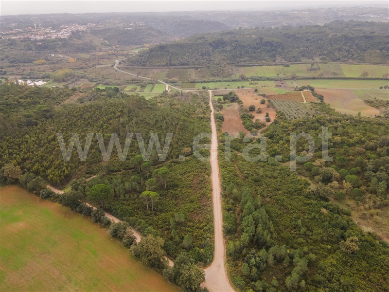 Terreno Rústico  Azambuja, Manique do Intendente, Vila Nova de São Pedro e Maçussa - 1440655 - 3