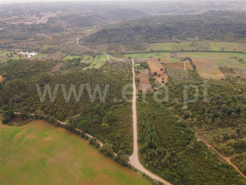 Terreno Rústico  Azambuja, Manique do Intendente, Vila Nova de São Pedro e Maçussa - 1440655 - 4