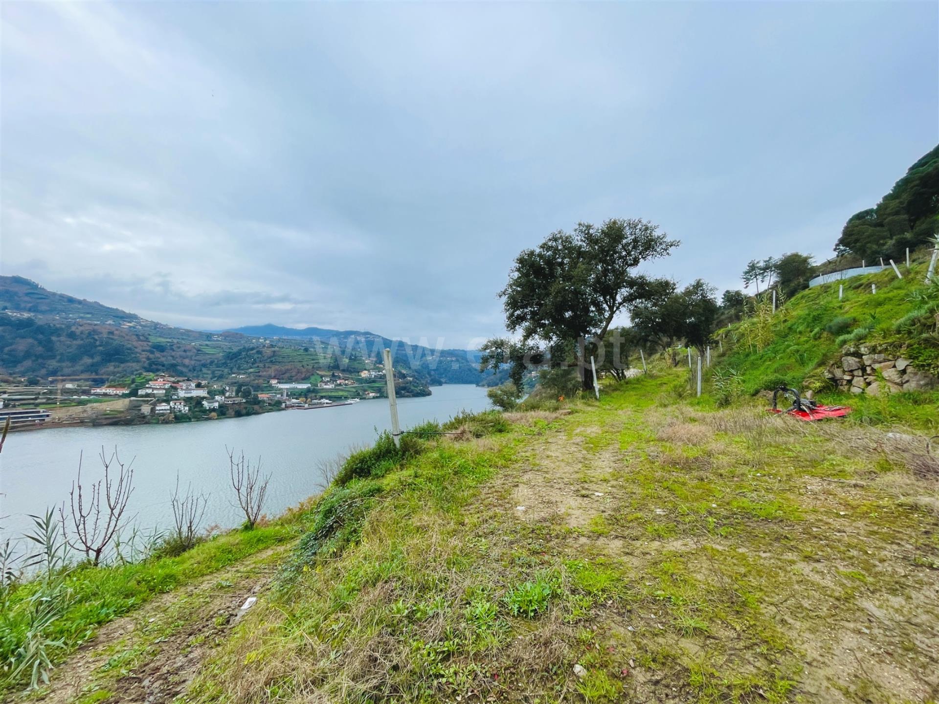 Land for sale in Baião, Portugal — €250,000