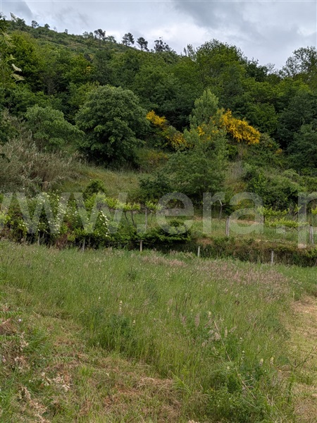 Terreno Rústico  Baião, Santa Marinha do Zêzere - 1479239 - 7