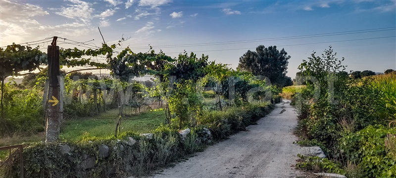 Terreno / Barcelos, Aborim