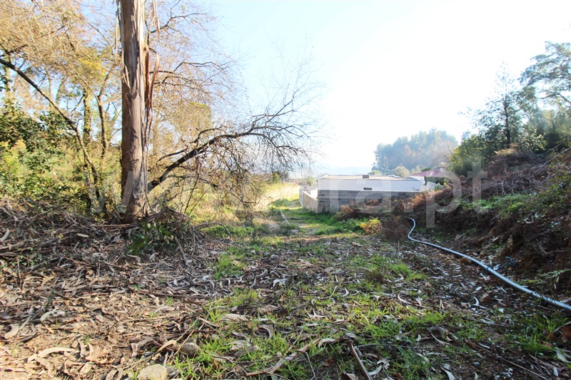 Terreno Rústico  Barcelos, Campo e Tamel (São Pedro Fins) - 1245193 - 4