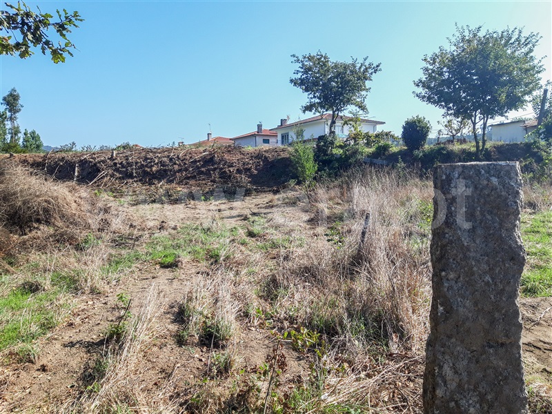 Terreno Rústico  Barcelos, Carreira e Fonte Coberta - 1343261 - 1