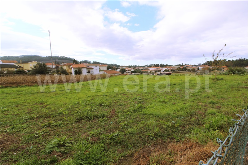 Terreno Rústico  com Agrícola Barcelos, Carvalhal - 1209137 - 2
