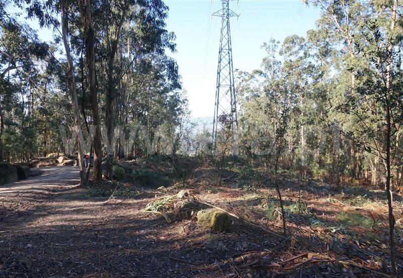 Terreno Rústico / Barcelos, Galegos (Santa Maria)
