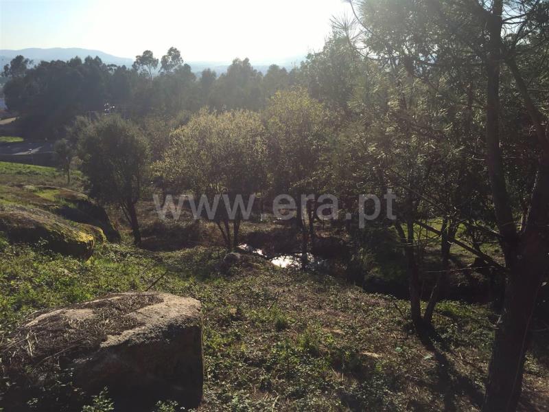 Terreno Rústico  Barcelos, Galegos (São Martinho) - 815343 - 10