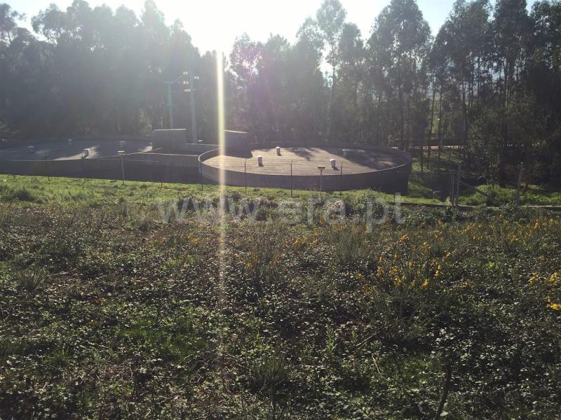 Terreno Rústico  Barcelos, Galegos (São Martinho) - 815343 - 11
