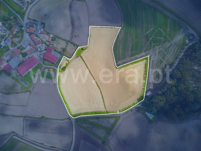 Terreno  Barcelos, Milhazes, Vilar de Figos e Faria - 1408866 - 2