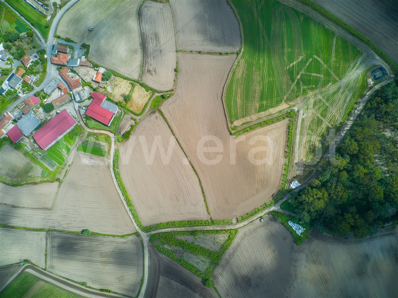 Terreno  Barcelos, Milhazes, Vilar de Figos e Faria - 1408866 - 3